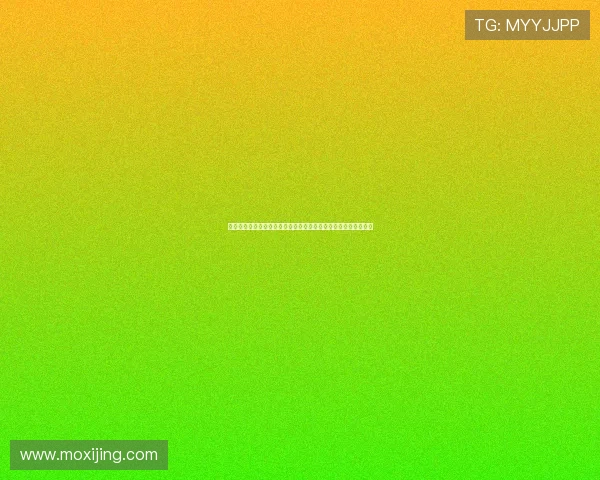 法甲女足球队崛起背后的故事与挑战:探索女性足球的未来与发展